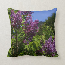 Hübsche Lilac-Blume Naturlandschaft