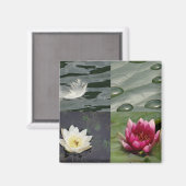 Hübsche Lilien Magnet (Vorderseite/Rückseite)