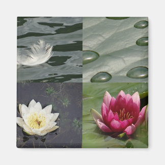 Hübsche Lilien Magnet