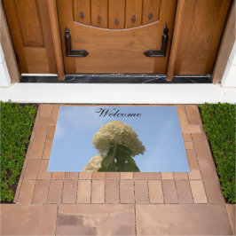 Hübsche Limone Hydrangea Blue Sky Doormats Fußmatte