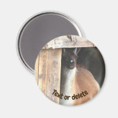 Hübsche Llama-Farmtier-Personalisierung Magnet (Vorderseite/Rückseite)