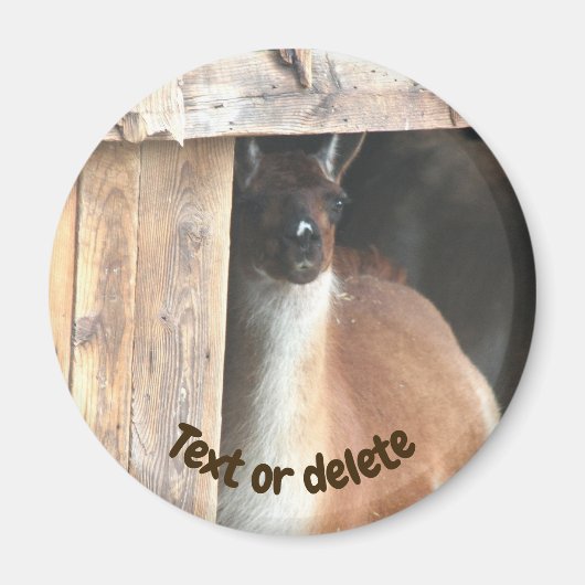 Hübsche Llama-Farmtier-Personalisierung Magnet (Vorne)