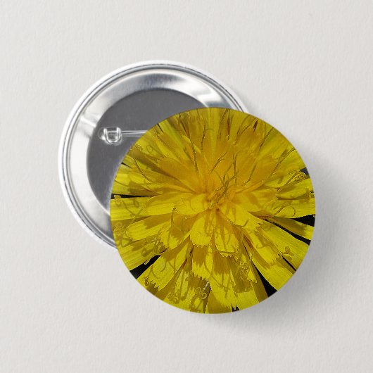 Hübsche Löwenblüte Button (Vorne & Hinten)