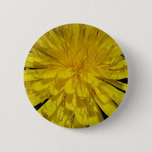 Hübsche Löwenblüte Button