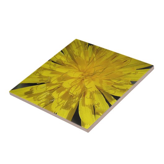 Hübsche Löwenblüte Fliese (Seite)