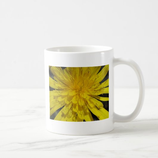 Hübsche Löwenblüte Kaffeetasse (Rechts)