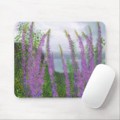 Hübsche Lupine-Blume am See Mousepad (Mit Mouse)