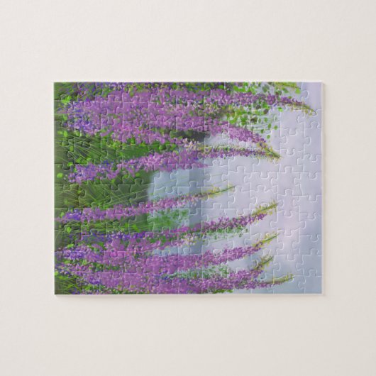 Hübsche Lupine-Blume am See Puzzle (Horizontal)