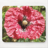 Hübsche Macro Mousepad-Blume Mousepad (Vorne)