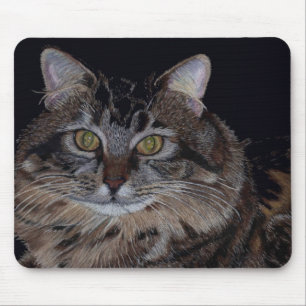 Hübsche Maine-Waschbär-Katze Mousepad