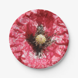 Hübsche Makro-Papierplatte der Blume Red Poppy Pappteller