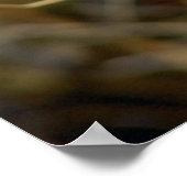 Hübsche Makrofotografie mit weißer Pflanze Poster (Ecke)