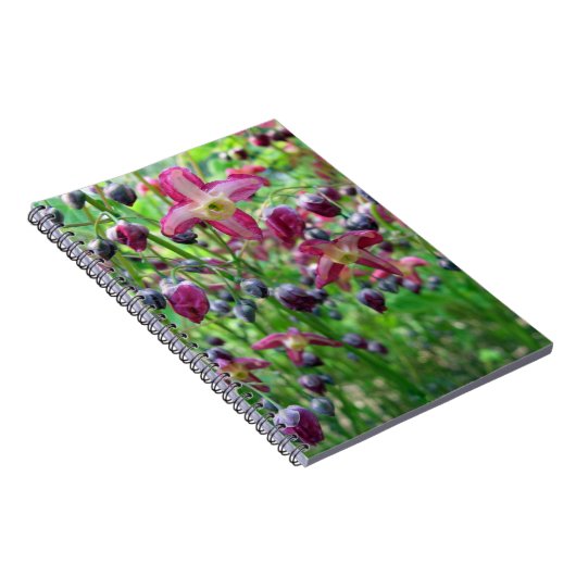 Hübsche Märchenflügel (Epimedium) Frühjahrs-Blume Notizblock (Rechte Seite)