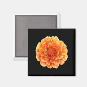 Hübsche Marigold-Blume Magnet (Vorderseite/Rückseite)
