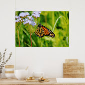 Hübsche Monarch Butterfly Fotografie Blume Poster (Küche)
