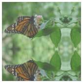 Hübsche Monarchfliegenmaterie Stoff (Nahaufnahme)