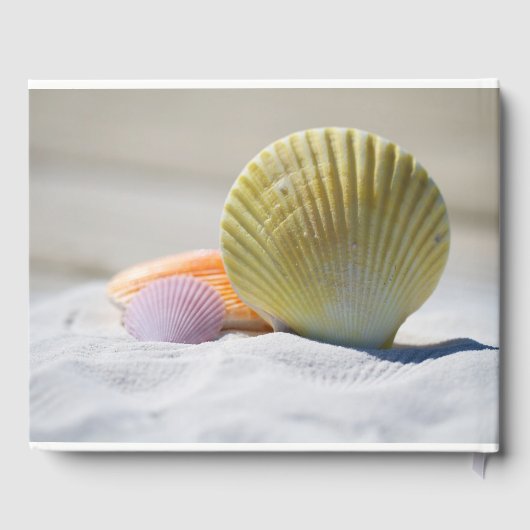 Hübsche Muscheln im Gästebuch von Beach Wedding (Rückseite)