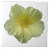 Hübsche Nasturtiumplatte Fliese (Vorderseite)