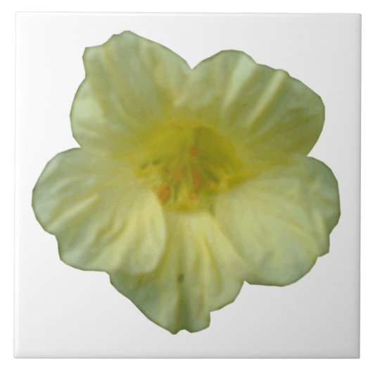 Hübsche Nasturtiumplatte Fliese (Vorderseite)