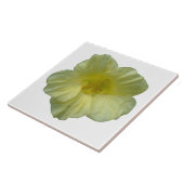 Hübsche Nasturtiumplatte Fliese (Seite)