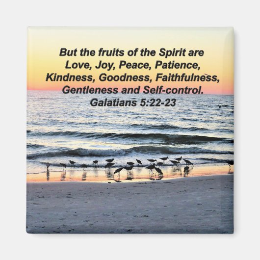 HÜBSCHE OBST DER SPIRITGALATIANER 5 MAGNET (Vorne)