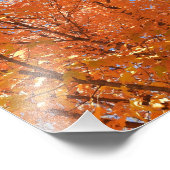 Hübsche Orange-Herbstlaube Fotodruck (Ecke)