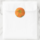 Hübsche Orange Nasturtium Blume Stickers (Tasche)