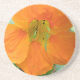 Hübsche Orange Nasturtium Blume Untersetzer