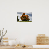 Hübsche Orange Poster (Küche)