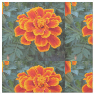 Hübsche orange Ringelblume Stoff