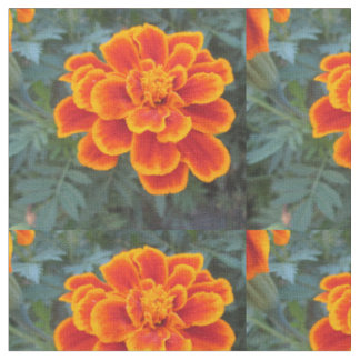 Hübsche orange Ringelblume Stoff