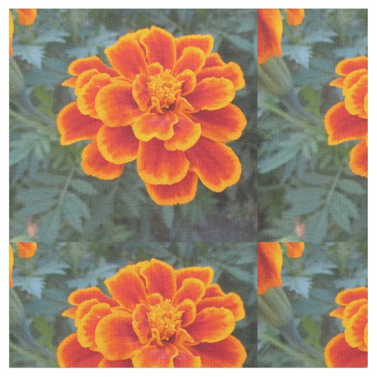 Hübsche orange Ringelblume Stoff (Nahaufnahme)
