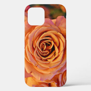 Hübsche Orange Rose Art Nah Up Phone Case