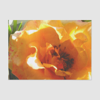 Hübsche orange Rose Seidenpapier