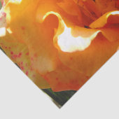 Hübsche orange Rose Seidenpapier (Ausschnitt)