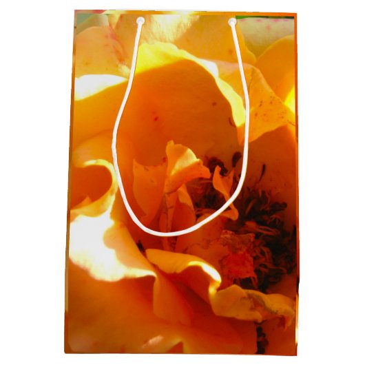 Hübsche Orangen-Rose Mittlere Geschenktüte (Rückseite)