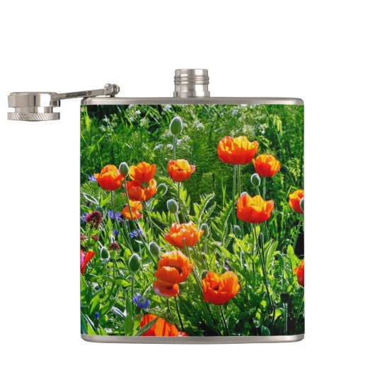 Hübsche Orangenmohn Flachmann (Geöffnet)