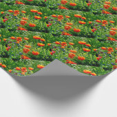 Hübsche Orangenmohn Geschenkpapier (Ecke)