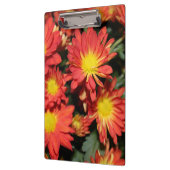 hübsche Orangensafari Blume. Blumengarten Klemmbrett (Links)