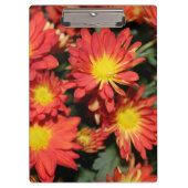 hübsche Orangensafari Blume. Blumengarten Klemmbrett (Vorderseite)