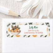 Hübsche Orangenscheiben und Kiefernzweige (Insitu)