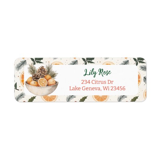 Hübsche Orangenscheiben und Kiefernzweige (Vorne)