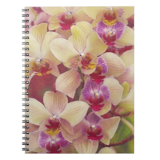 Hübsche Orchid-Blume Art Journal Notizblock (Vorderseite)