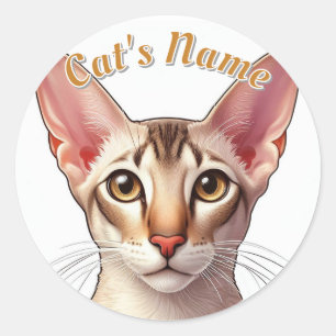 Hübsche Orientalisch Kurze Haarkatze und Name Runder Aufkleber