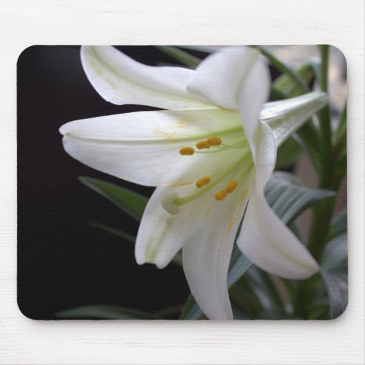 Hübsche Osterlilie-Blume in Schwarz Mousepad (Vorne)