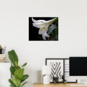 Hübsche Osterlilie-Blume in Schwarz Poster (Heimbüro)