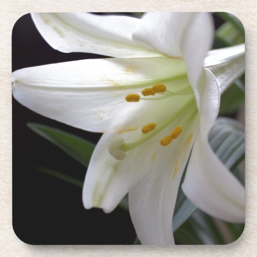 Hübsche Osterlilie-Blume in Schwarz Untersetzer (Vorderseite)