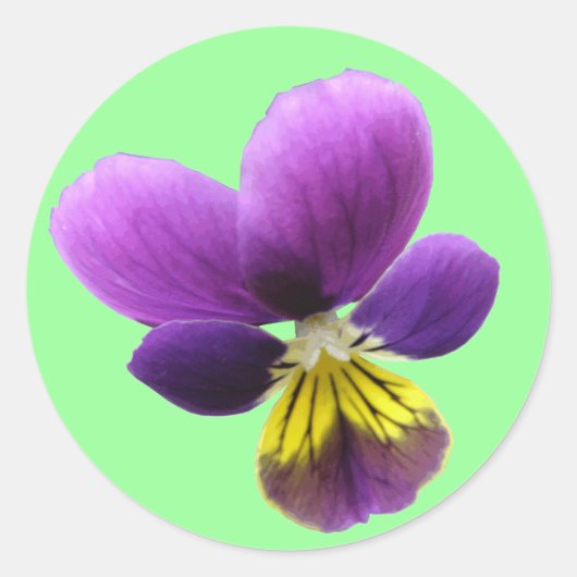 Hübsche Pansy-Aufkleber Runder Aufkleber (Vorderseite)