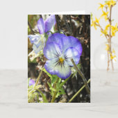 "Hübsche Pansy" Karte (Gelbe Blume)