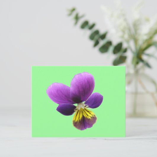 Hübsche Pansy Postkarte (Stehend Vorderseite)